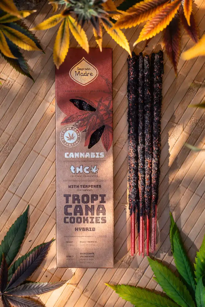 cannabis tropicana.webp