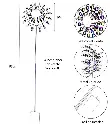 Windspinner Vortice 2_resultado.webp