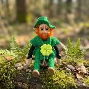 San Patricio_WEBP.webp