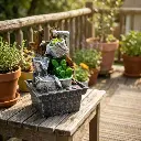 ollitas con cactus_WEBP.webp