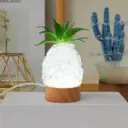 Lampara de Piña - Cuarzo cristal