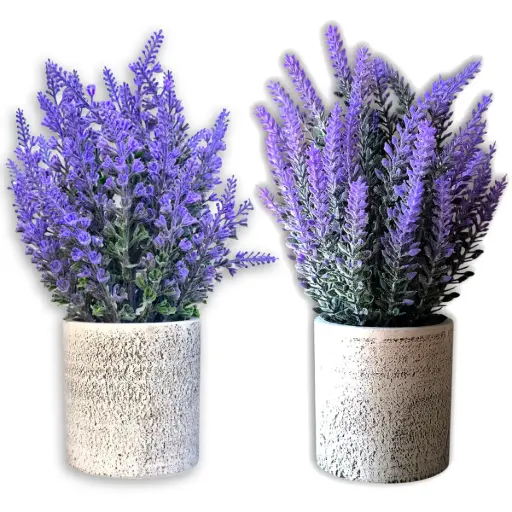 [ONC-120] Maceta Flores de Lavanda (24x8cm)