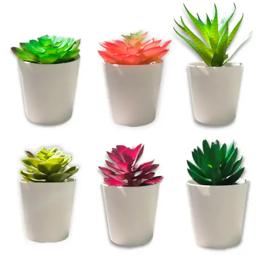 [ONC-121] Macetita de Suculentas Surtidas (9x5)